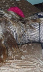 Ева (Выезжаю) из Пермь - интим фото